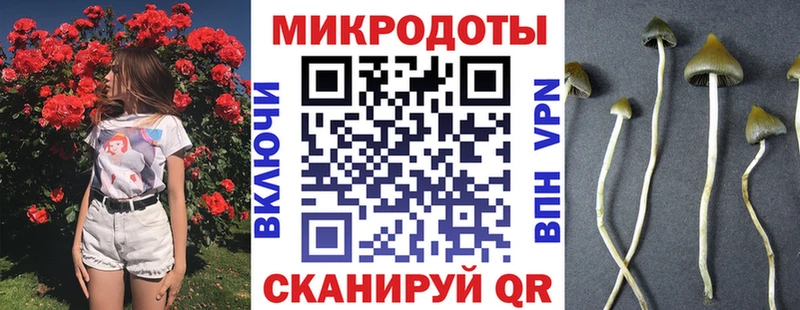 Купить закладки  Берёзовка  Галлюциногенные грибы Psilocybe 